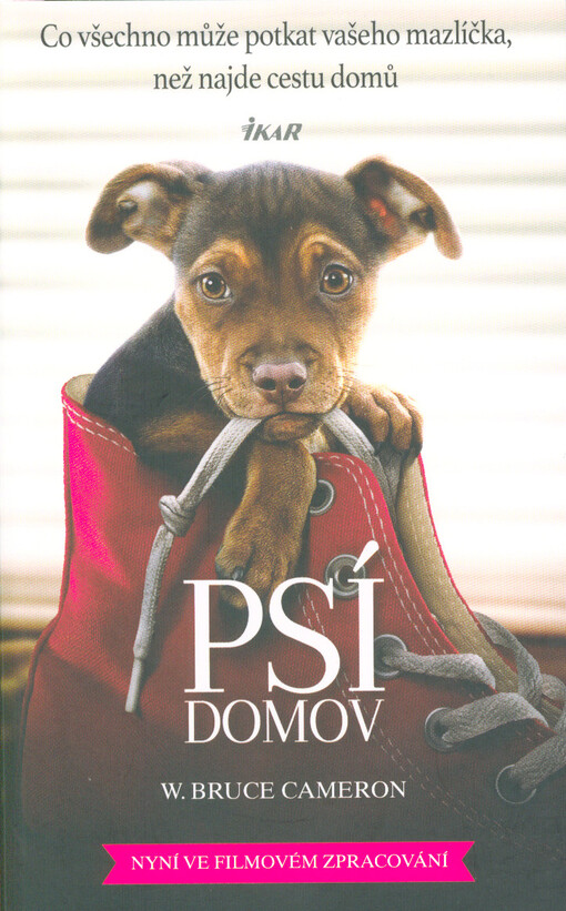 Psí domov : co všechno může potkat vašeho mazlíčka, než najde cestu domů