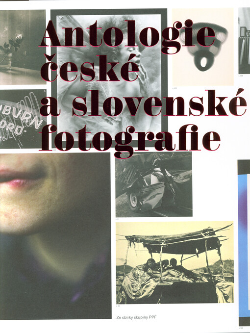 Antologie české a slovenské fotografie : ze sbírky skupiny PPF