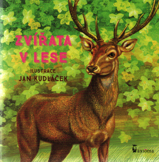 Zvířata v lese