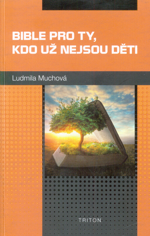 Bible pro ty, kdo už nejsou děti