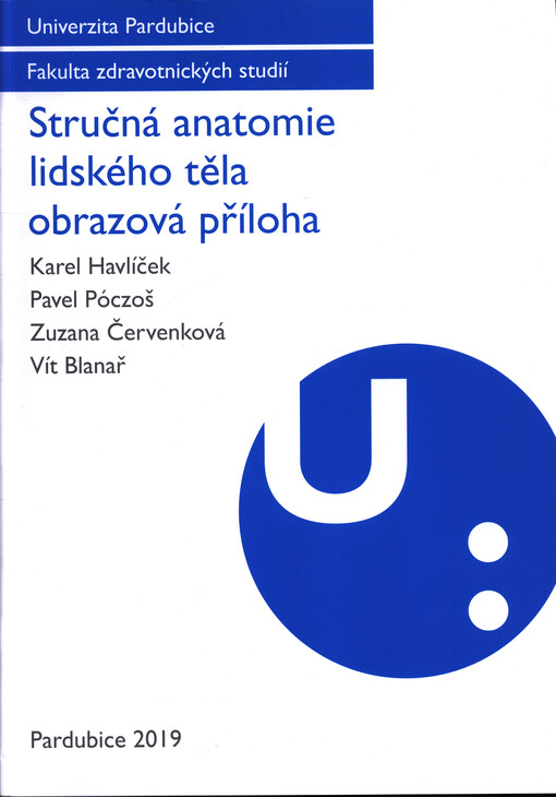 Stručná anatomie lidského těla obrazová příloha
