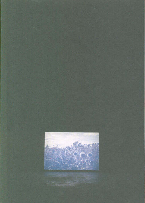 Desolation Peak - Houpací koně