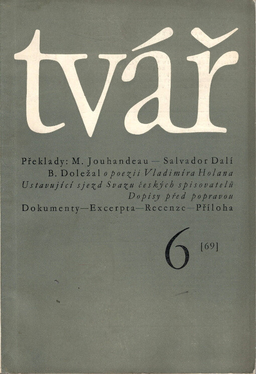 Tvář : literatura, kritika, společnost