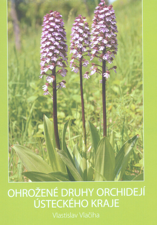 Ohrožené druhy orchidejí Ústeckého kraje