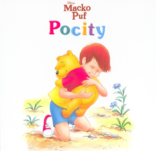 Pocity