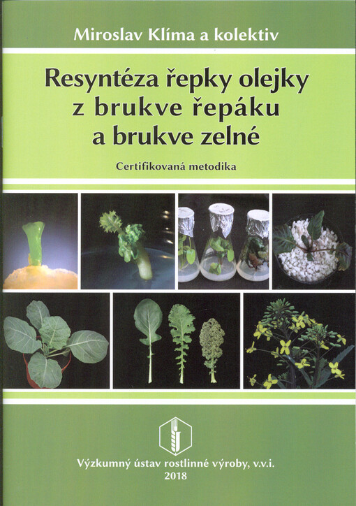 Resyntéza řepky olejky z brukve řepáku a brukve zelné