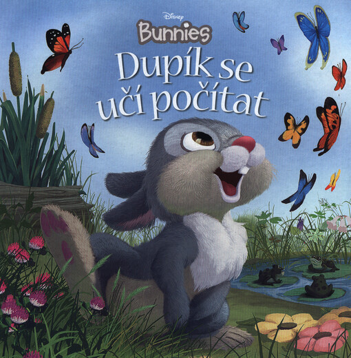 Disney Bunnies - Dupík se učí počítat