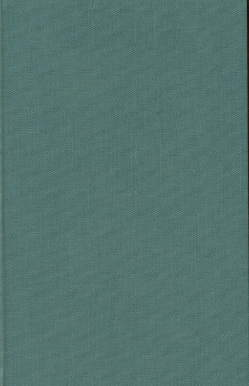 Models of representations in Czech literary history