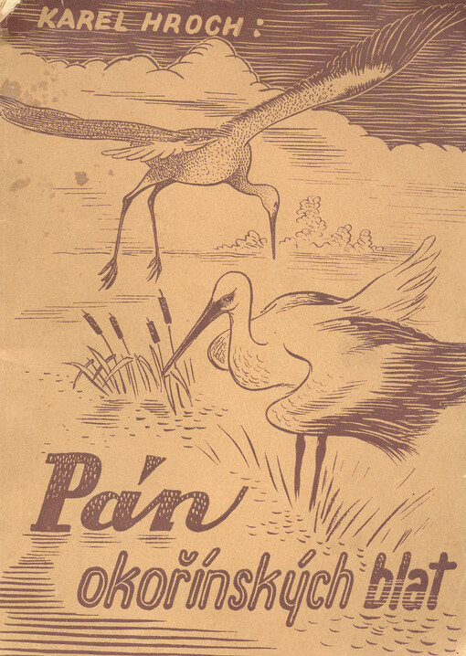 Pán okořínských blat :povídka o čápu a jiných obyvatelích blat