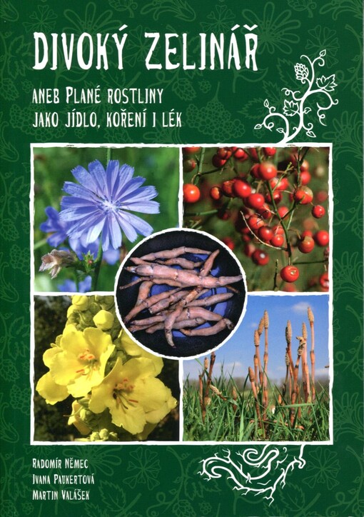 Divoký zelinář, aneb, Plané rostliny jako jídlo, koření i lék