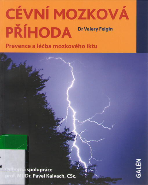 Cévní mozková příhoda: prevence a léčba mozkového iktu