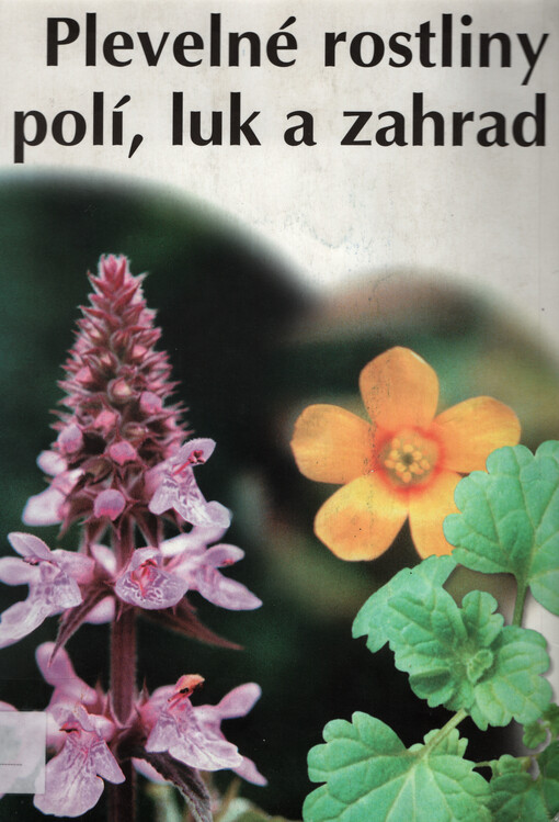 Plevelné rostliny polí, luk a zahrad