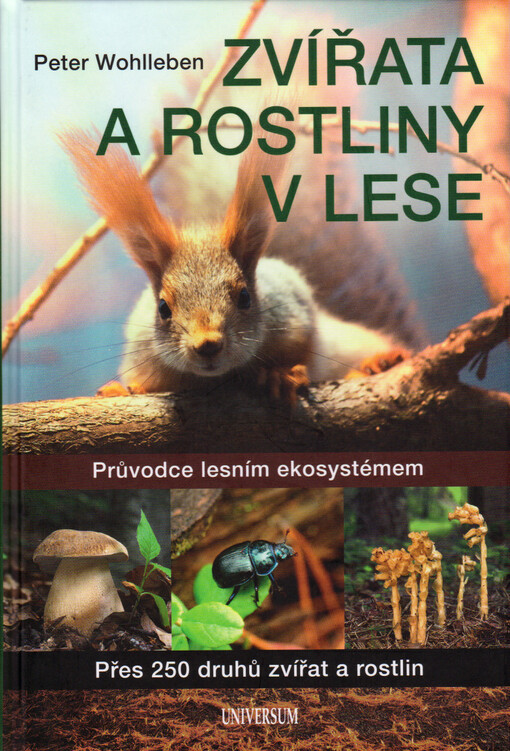Zvířata a rostliny v lese