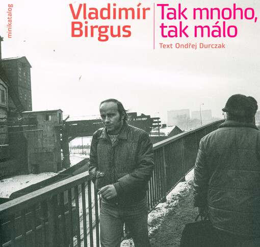 Tak mnoho, tak málo : fotografie z let, kdy se tak mnoho muselo a tak málo smělo : minikatalog