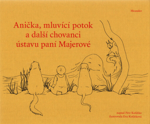 Anička, mluvící potok a další chovanci ústavu paní Majerové