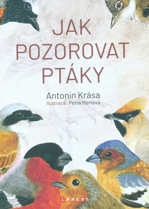 Jak pozorovat ptáky