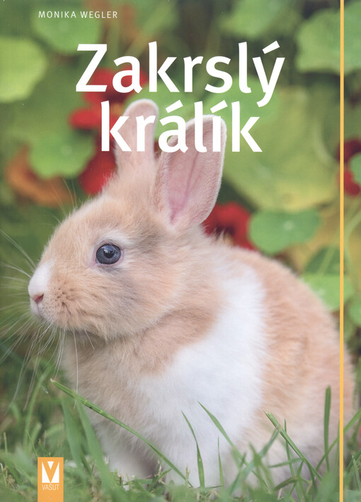 Zakrslý králík