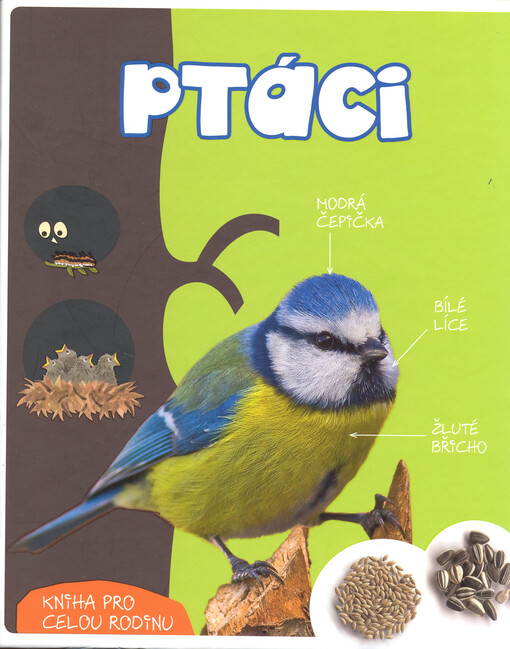 Ptáci