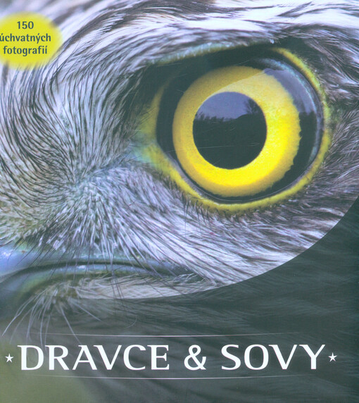 Dravce & sovy