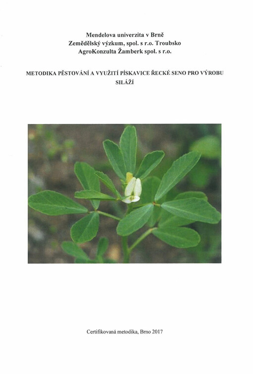 Metodika pěstování a využití pískavice řecké seno pro výrobu siláží