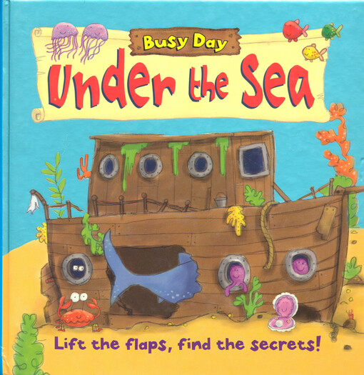 Under the sea : lift the flaps, find the secrets!