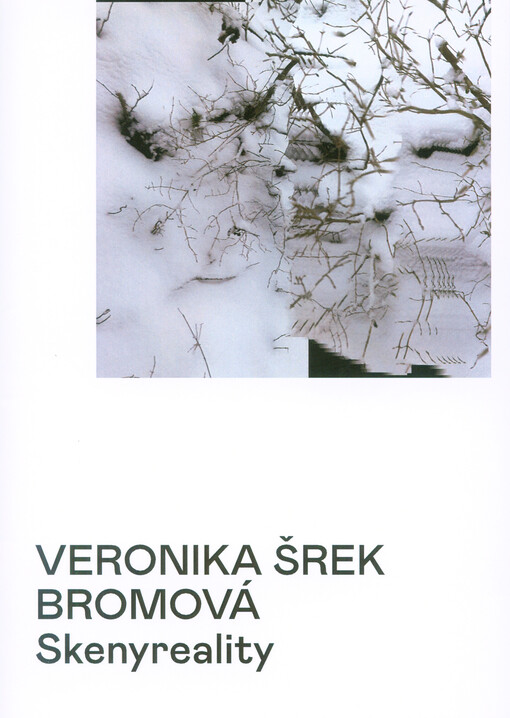Veronika Šrek Bromová : skenyreality