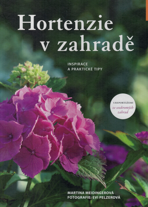 Hortenzie v zahradě