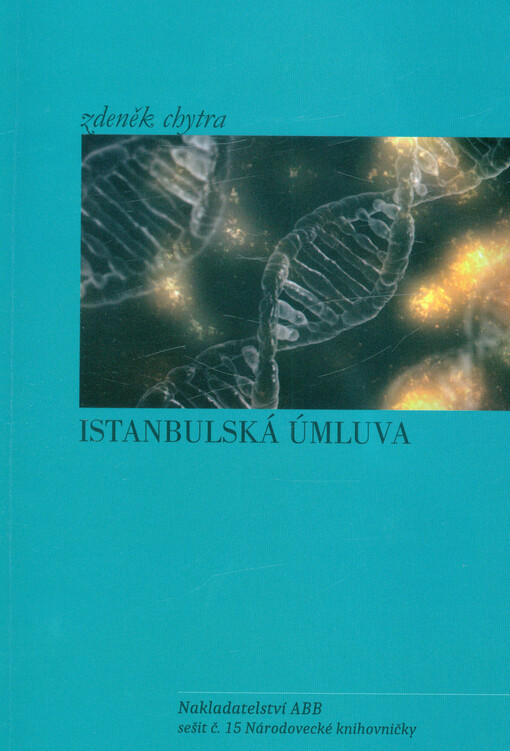 Istanbulská úmluva a další doprovodné texty