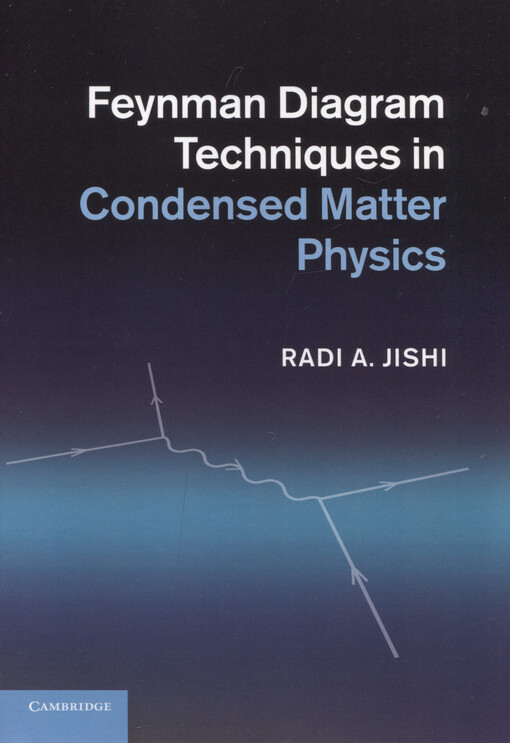 Feynman diagram techniques in condensed matter physics