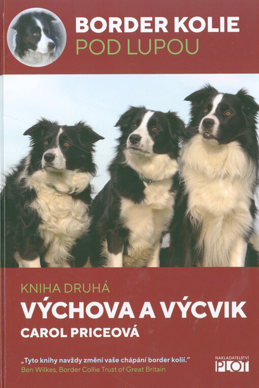 Border kolie pod lupou 2