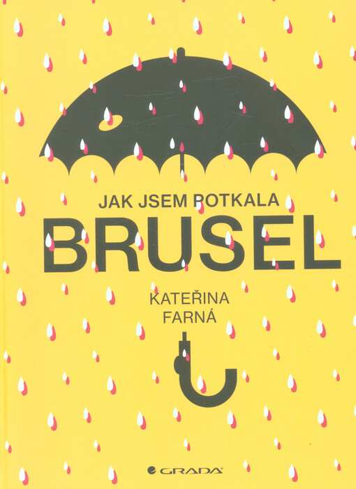 Jak jsem potkala Brusel | Farná Kateřina - e-kniha