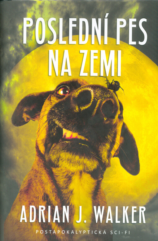 Poslední pes na zemi