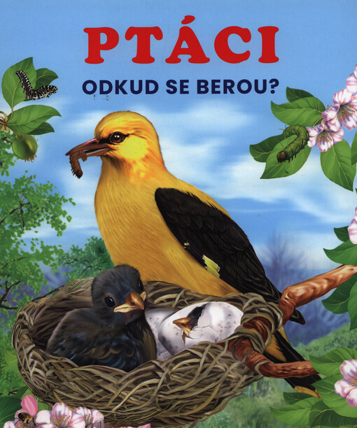 Ptáci