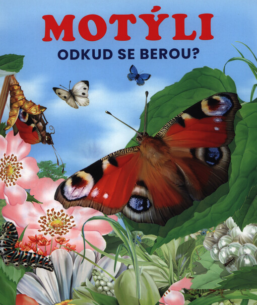 Motýli