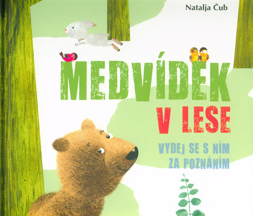 Medvídek v lese