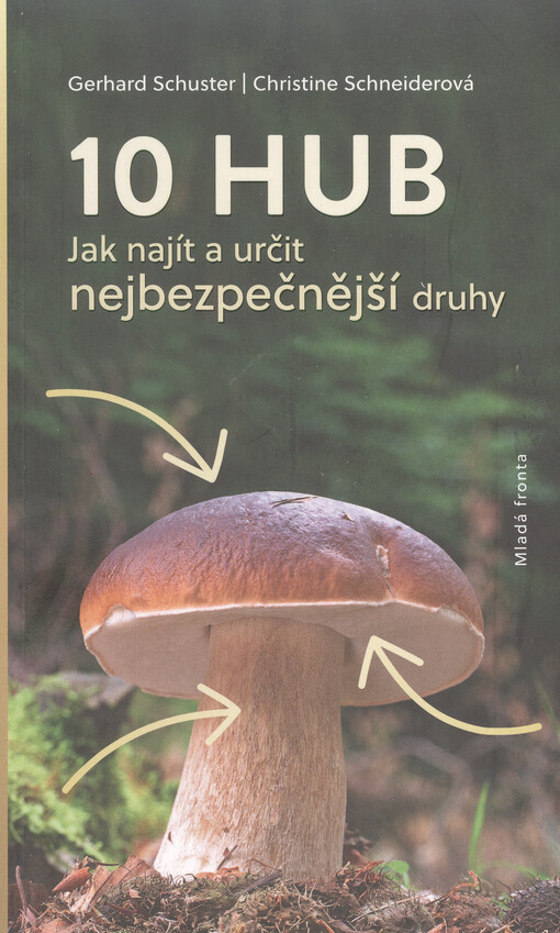 10 hub