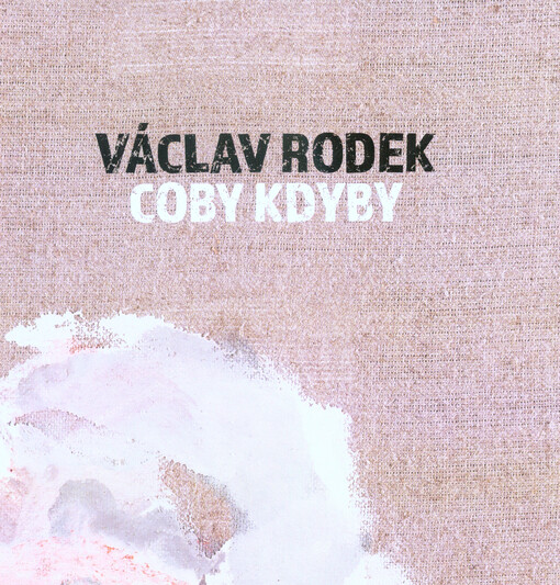 Václav Rodek - Coby kdyby : Galerie Student, 15.11.2018-18.1.2019