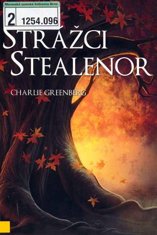 Strážci Stealenor