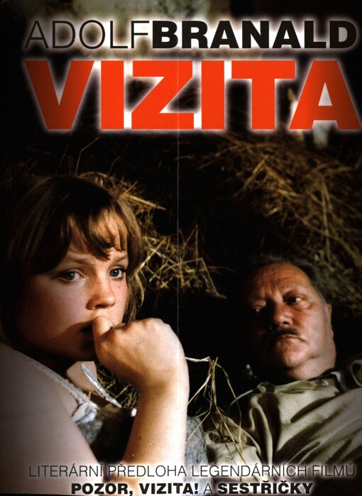 Vizita