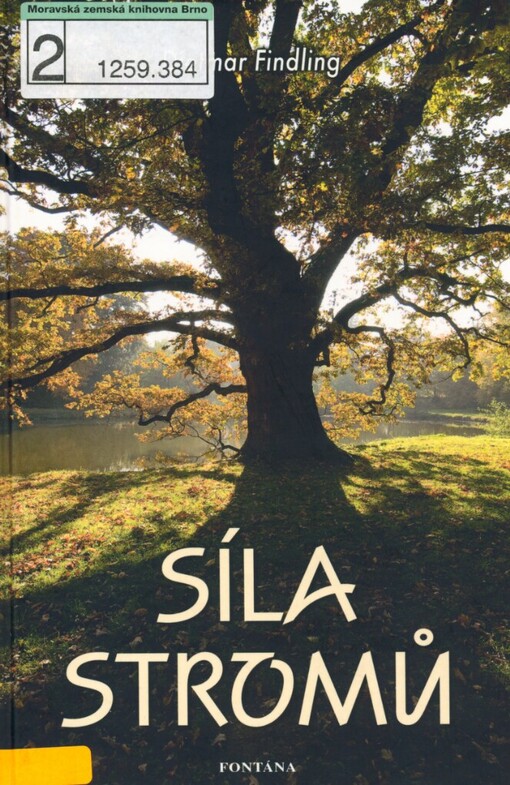 Síla stromů: inspirace a léčba metodou stromové síly