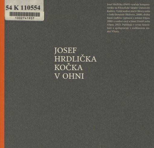 Kočka v ohni: (2009-2013)