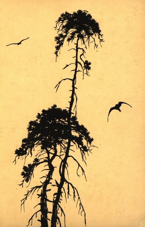 Toulky přírodou : Výbor z díla