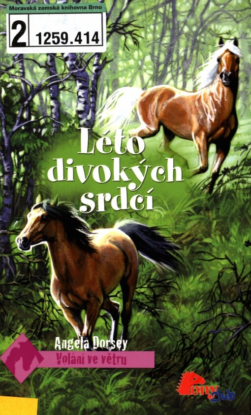 Léto divokých srdcí