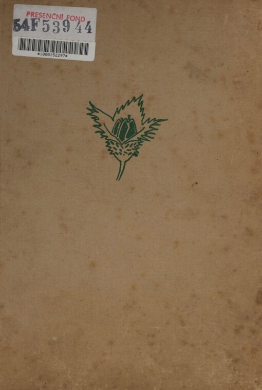 Z bukového dřeva: kniha klukovských výprav