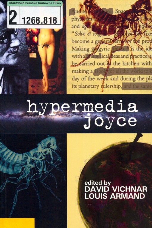 Hypermedia Joyce