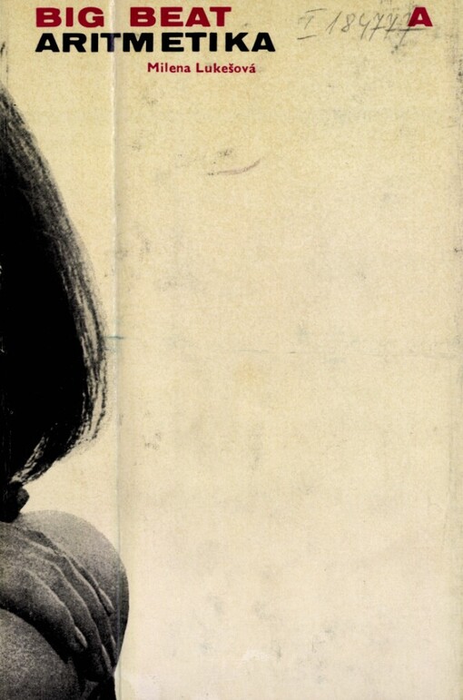 Big beat a aritmetika aneb kostkovaný ideály