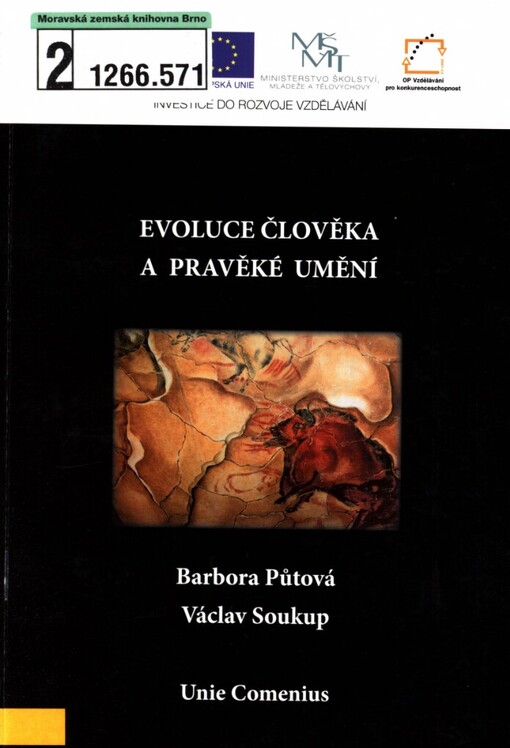 Evoluce člověka a pravěké umění