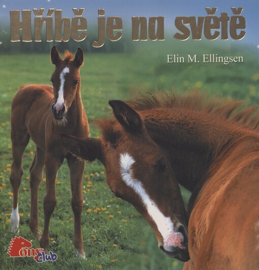 Hříbě je na světě