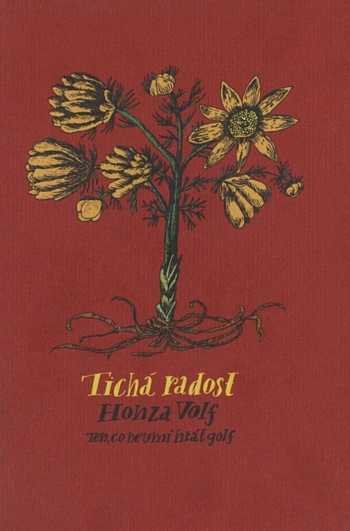 Tichá radost