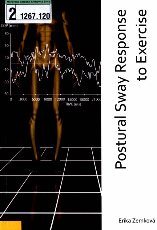 Postural sway response to exercise